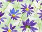 Preview: Patchworkstoff Clothworks aus der Serie Flowershop verschiedene lila Blüten auf zartgrün